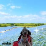 muku